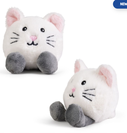 kc little paws kittens