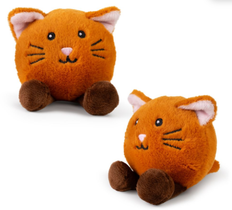 kc little paws kittens