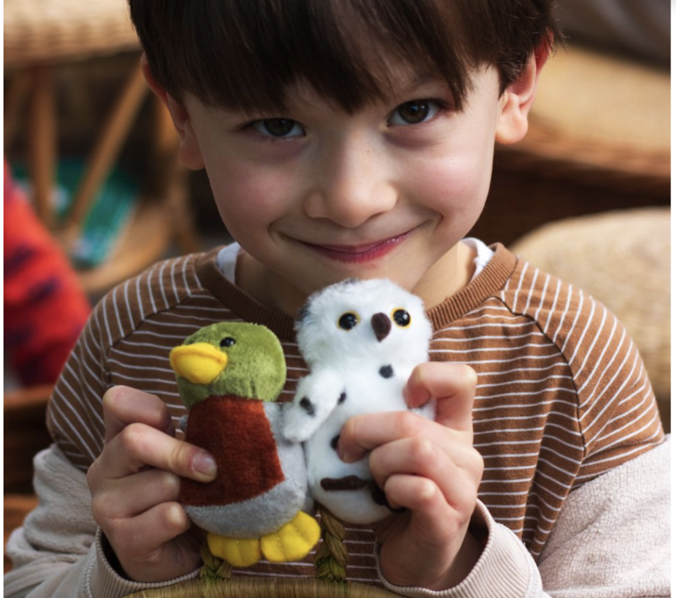 kc wildlife mini buddies asst