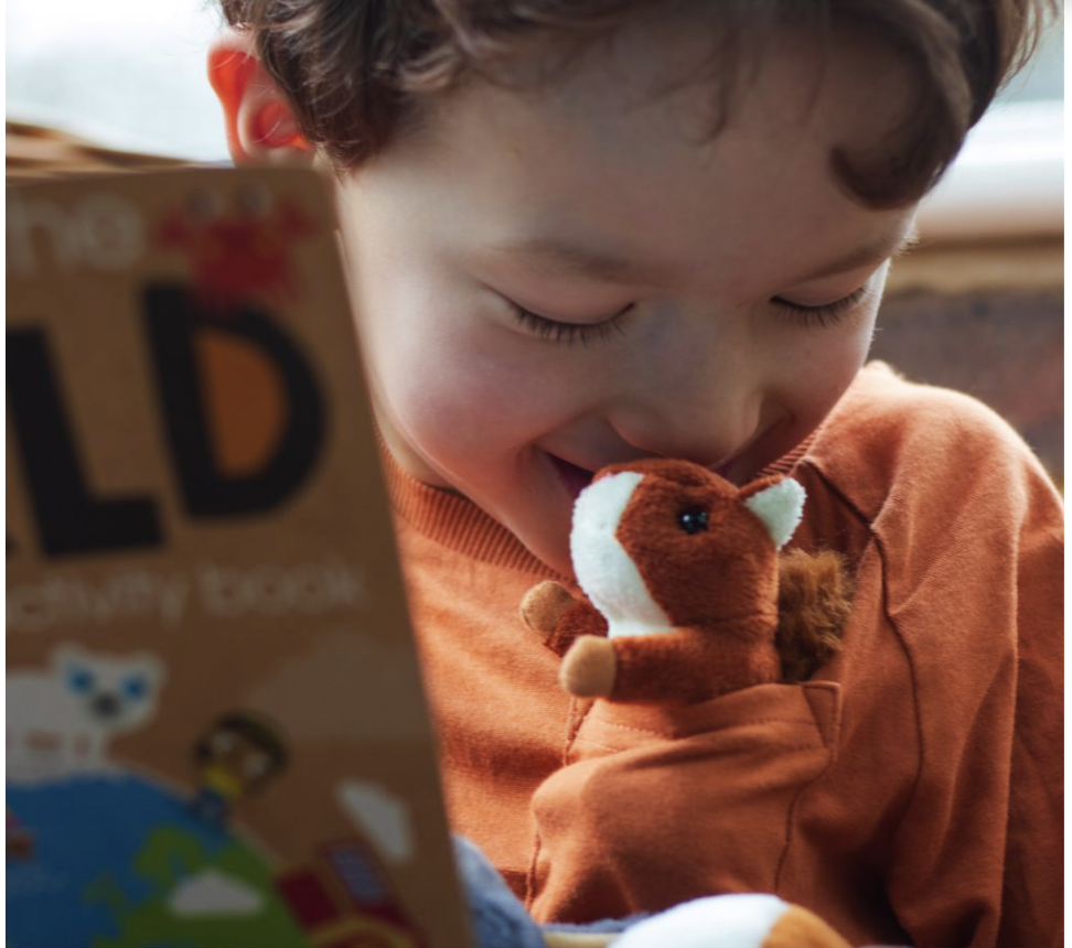 kc wildlife mini buddies asst