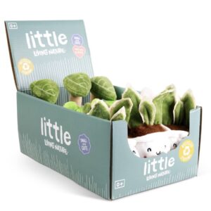 kc little greens cute plants