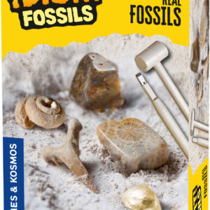 I Dig It! Fossils - Real Fossils Excavation Kit